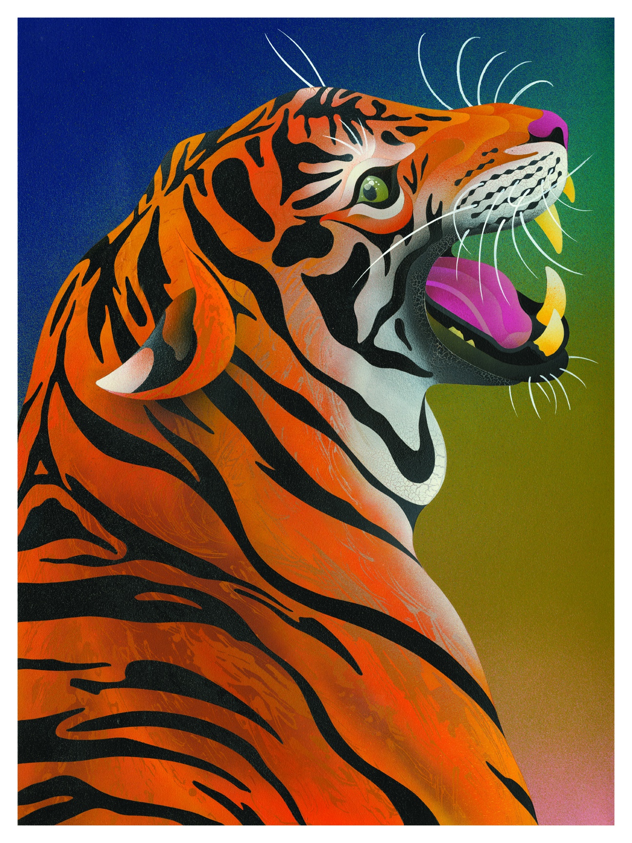 Print by Casey Gray featuring an illustration of a tiger.